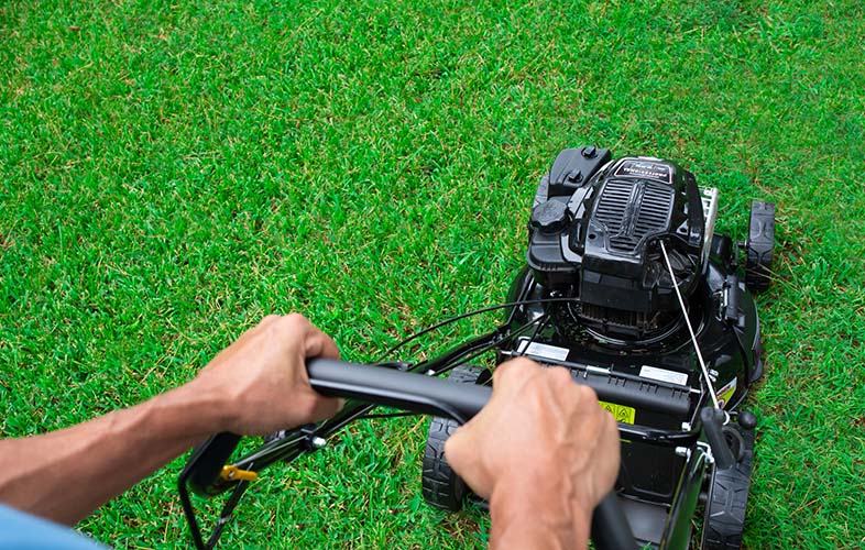 Mowing Heights By Season And Grass Type | TruGreen